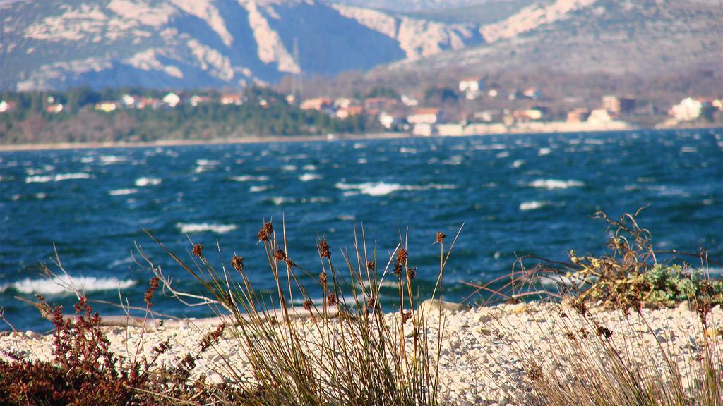 Studio Apartment Maslina Gornji Karin Εξωτερικό φωτογραφία