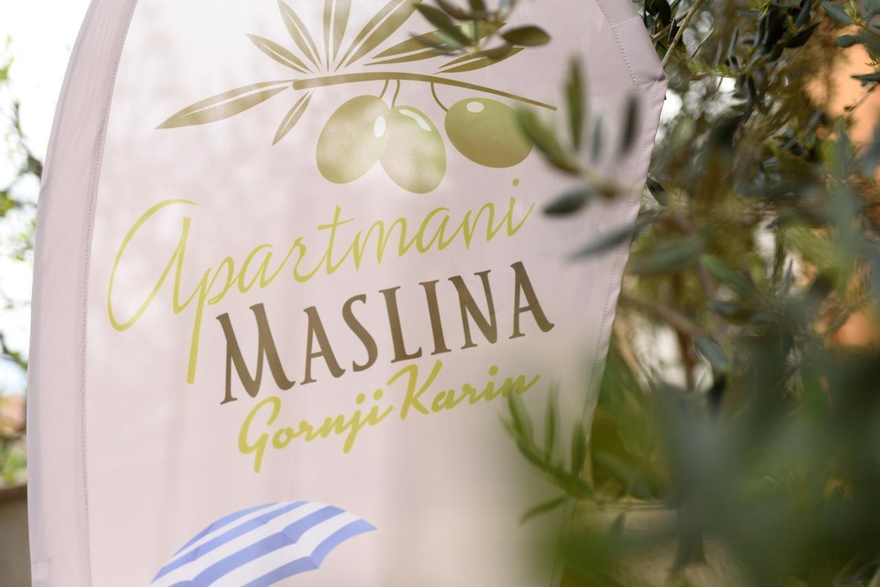Studio Apartment Maslina Gornji Karin Εξωτερικό φωτογραφία